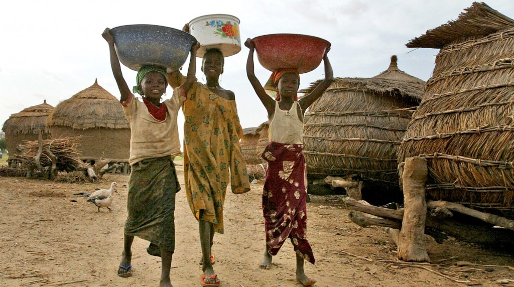 Global Beat: Unseen Africa-An Experience in World Travel Niger๏ปฟ (West Africa)